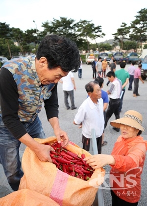 괴산군 직거래 홍고추시장 괴산장날 개장