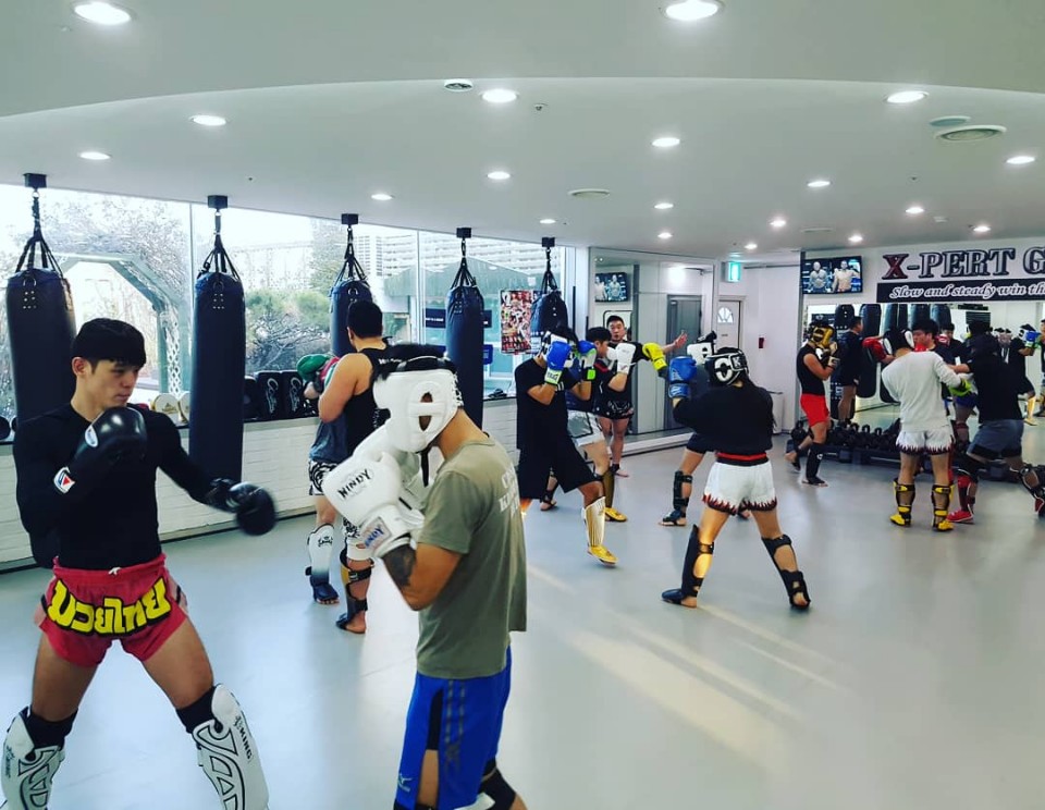 [엑스퍼트짐] 대한민국 입식격투기 발전 위한 합동훈련 실시