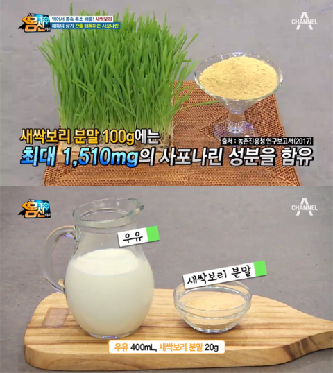 간 기능 개선·해독 다이어트 효능있어 새싹보리분말 라테 만드는 법은?