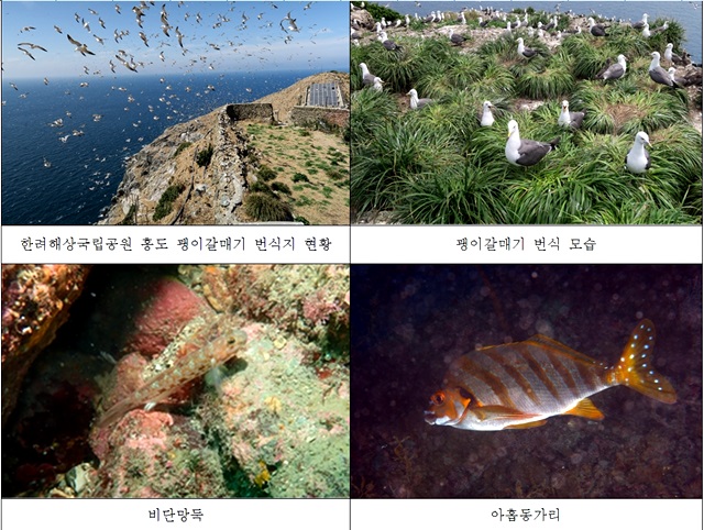 한려해상, 바닷새 번식 빨라지고 아열대성 생물 분포