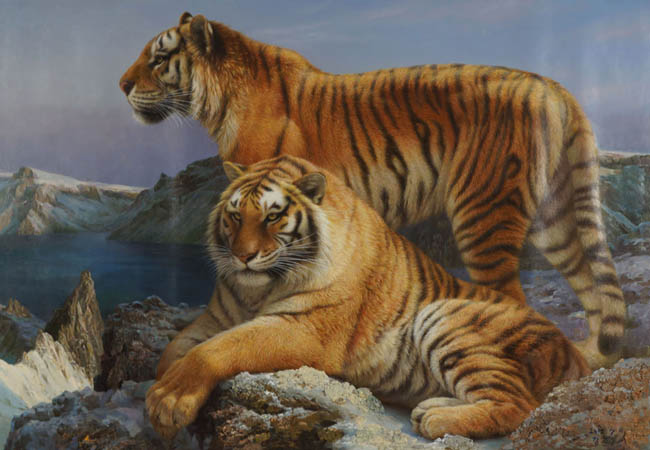 북한의 호랑이그림