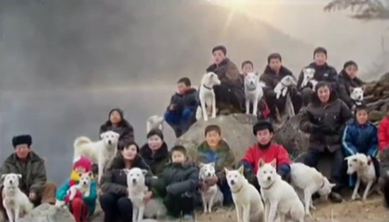 풍산개 이야기④ 다시 풍산개에게로