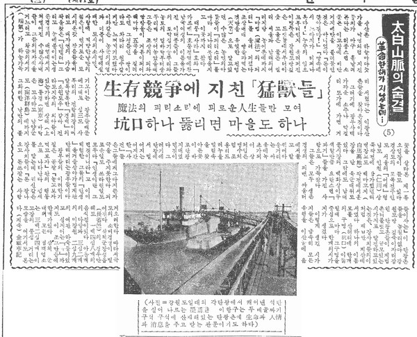 태백산맥(太白山脈)의 숨결 ⑤