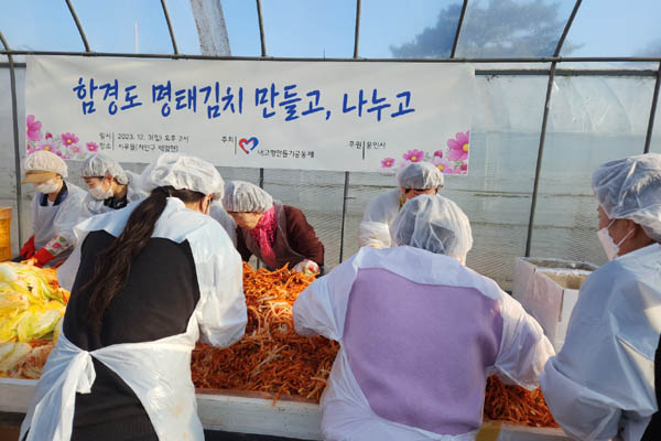 올해 김장철에도 쩡한 맛 내는 명태김치 나누다