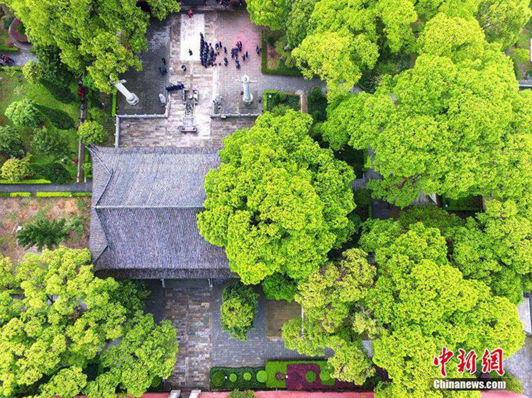 하늘에서 내다본 중국 도교의 정수: 사한천사부(嗣漢天師府)