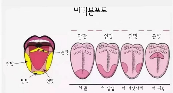 [건강] 매운맛은 미각이 아닌 통각이 지배한다! 