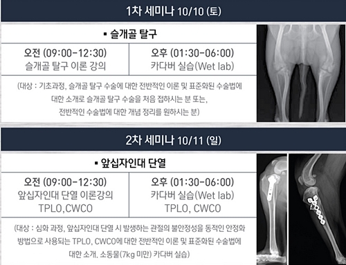 미국 소동물정형외과 전문의 초청 wet lab，10월 11∼12일 개최