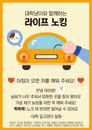   `똑똑` 당신의 노크가 고양이 생명을 살릴 수 있습니다  