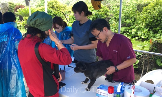   제주대 수의대 동물진료 봉사활동，서울대·해군본부 동참해 의미 더하다  