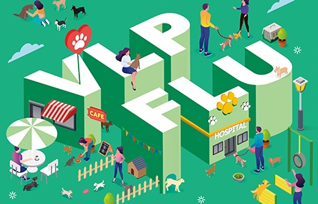 피하접종 개 인플루엔자 백신 ‘대성 VLP 플루 도기백주’, 서수약품도 판매
