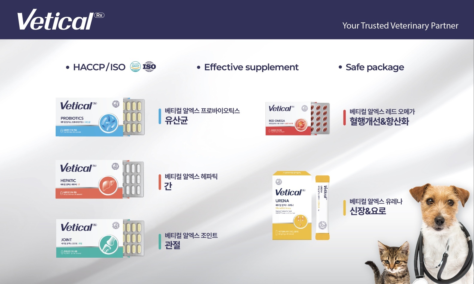 동물병원 전용 처방 보조제 베티컬, 반년 만에 400여 개 동물병원 입점