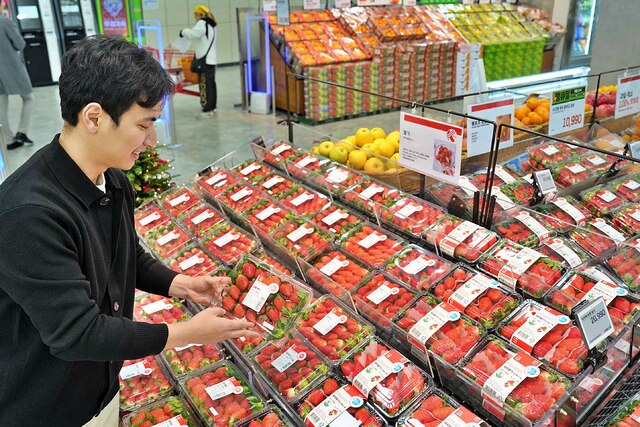 당일 진열 딸기만 판매…롯데마트, 신선을 새롭게 프로젝트 가동