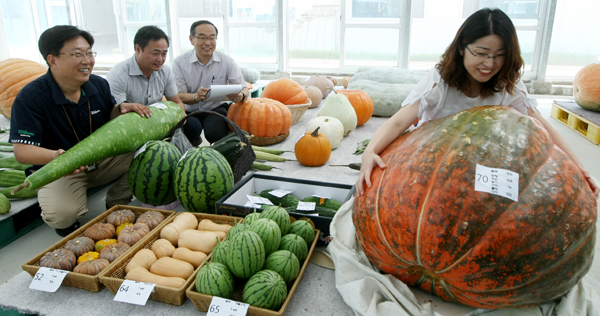 동급 최대 과일·채소 한자리