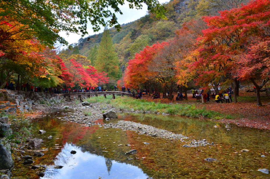 2018 강천산군립공원 전국사진 공모전 접수
