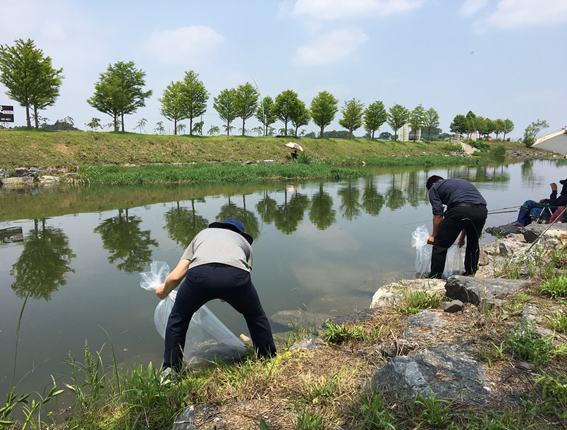 부안군, 수산자원 조성· 생태계 복원 미꾸라지 치어 방류