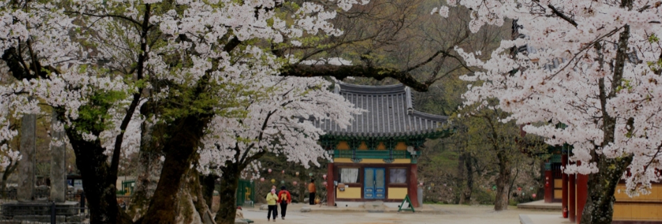 전북김제모악산축제 내달 초 개최