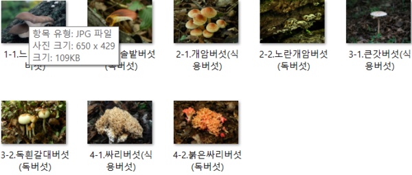 우리나라 버섯 2,170종 중 먹을 수 있는 것은 493종뿐
