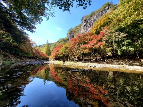순창군 강천산 군립공원, 이번 주말 단풍 구경하러 오세요