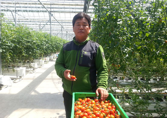 스마트폰으로 온실 관리 척척…노동력 절감·생산성 향상 밀알된다