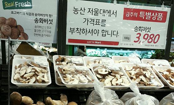 송이향 지닌 표고버섯 인기? 제대로 알고 재배하자