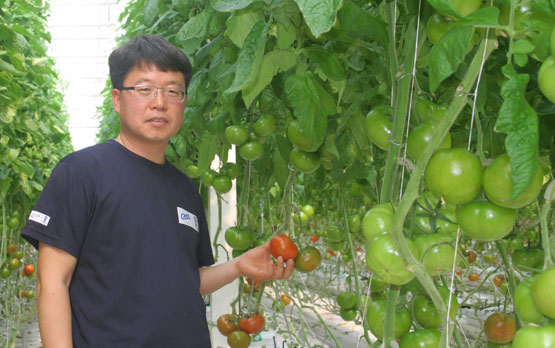 수출유망기업 ⑨농업회사업법인그린팜아리울영농법인/최신 시설 갖춘 온실서 재배…생산량 1.5배 많아