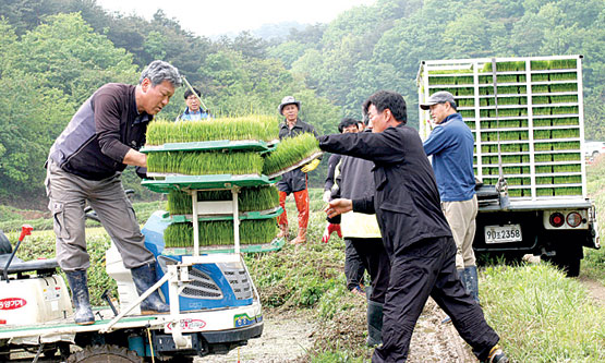[한농연·한여농 소식] 한농연김포시연합회, 한농연양양군연합회..