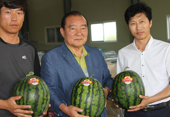 전국 명성 자자 고창 황토골 수박 소비자 만난다