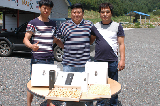야베스 영농조합 정선 잣, 지역특산품으로 만들자