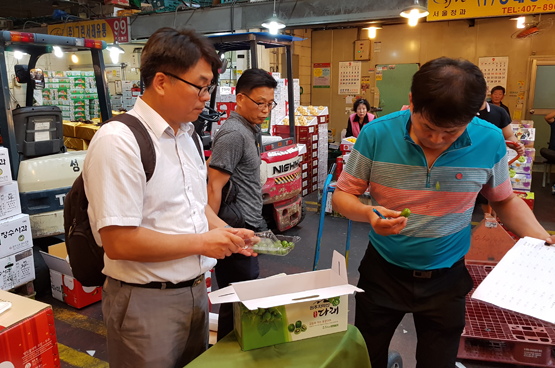 토종다래 돌아온다…시장유통인 청산에 후한 점수