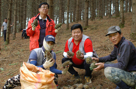 수출유망기업 <24>야베스영농조합법인/정선잣, 맛·영양 으뜸…수출로 활로 찾을 것