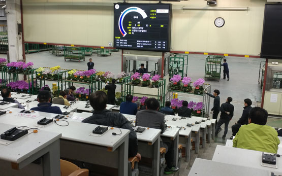 난 경매, 주 1→2회로…100여일 만에 다시 확대