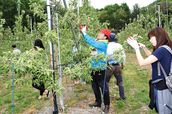 농협경제지주 축산경제 임직원 봉사활동 활발