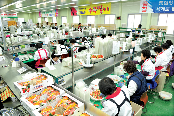 진주 농산물전문수출단지 10곳 최우수…농식품부 선정