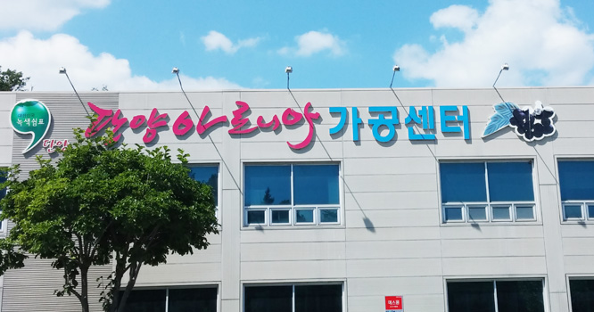 단양 아로니아 동결건조 시설 부족에 농가 애로