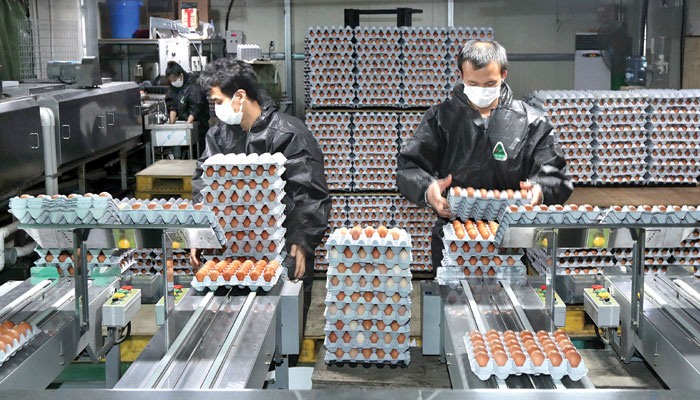 산란계 업계 계란 난각에 산란일자 의무 표기 무리