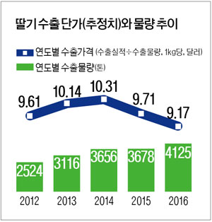 내수용 설향까지 가세…겨울딸기 덤핑 수출 또 나설라
