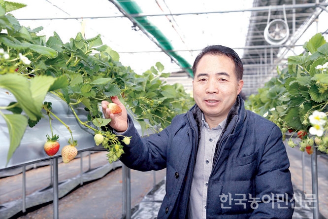 “여름딸기, 고소득 틈새작목으로 승산 충분”
