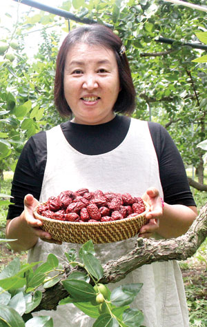 [나의 수출성공기 <43>이재혜 군위 참맛대추농원 대표] 고품질 대추로 만든 스낵, 베트남·일본·유럽 ‘노크’