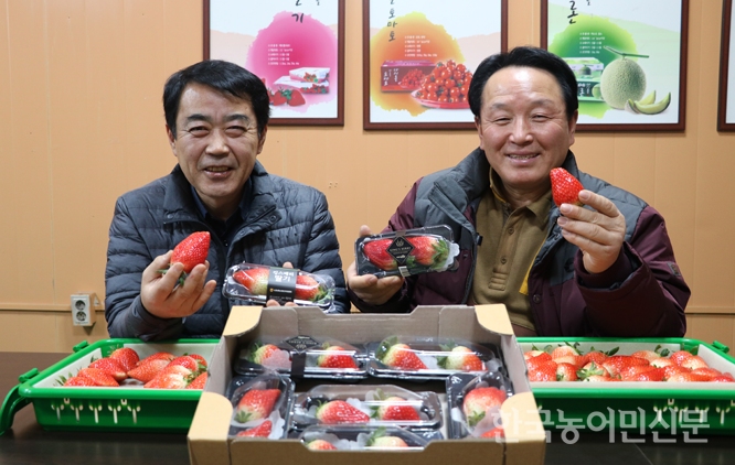 2019 주목받는 수출조직/노송농협 공선출하회