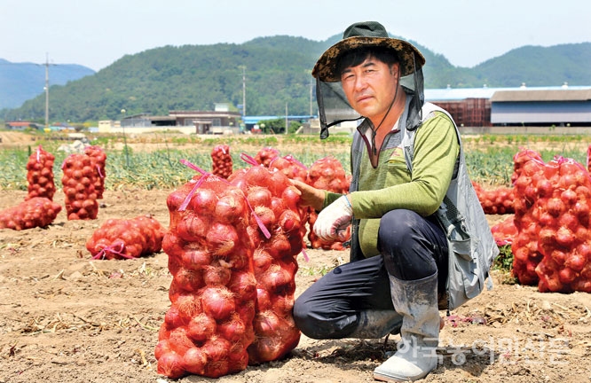 “양파 수출단가 후려치기…해도 너무해”
