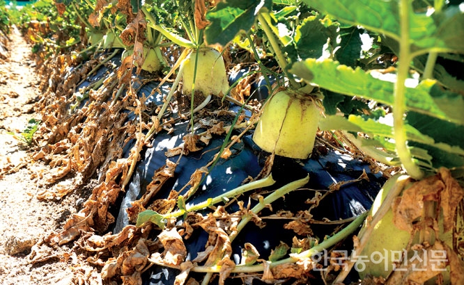 ‘바닥 기는’ 무가격…산업 기반이 흔들린다