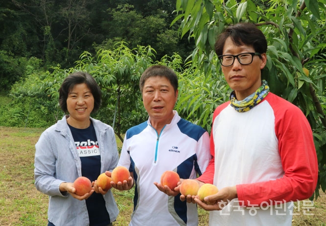 2019 농식품 수출우수사례 <4>복숭아친환경영농조합법인/국내 복숭아 수출량의 절반 주도 ‘자부심’