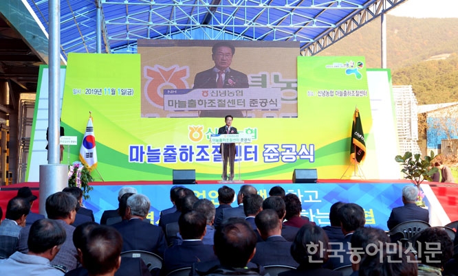 신녕농협 마늘 출하조절센터 본격 가동