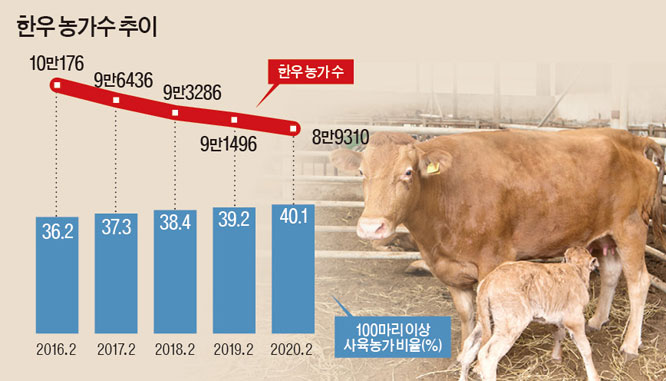 한우 농가 수 줄었지만, 사육 마릿수 되레 늘어