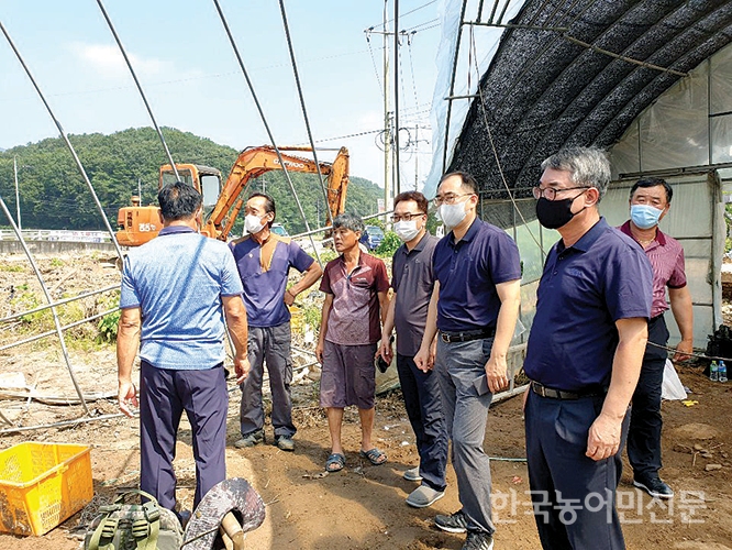 동화청과, 수해 입은 출하지역 성금 전달