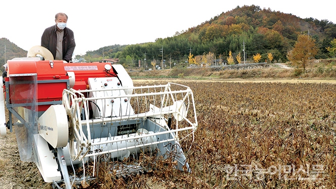 [콩·팥·녹두…갈림길에 선 밭작물] 긴 장마 탓 콩 수확량 급감…식품업체 속속 수입산 전환 조짐