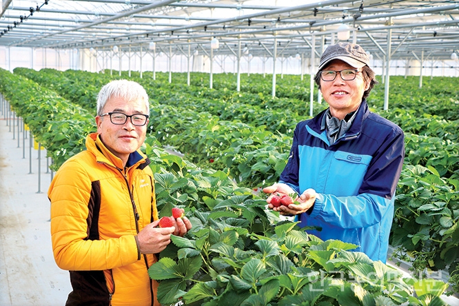 디지털 기반의 수출농업 안전망 구축, 농산물 수출전문단지
