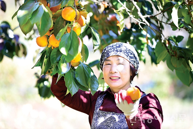 주목, 한국의 고부가가치 농식품 <36>신농영농조합법인