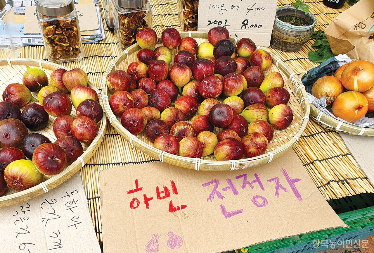 가치를 팝니다…로컬푸드, 제로웨이스트와 만나다