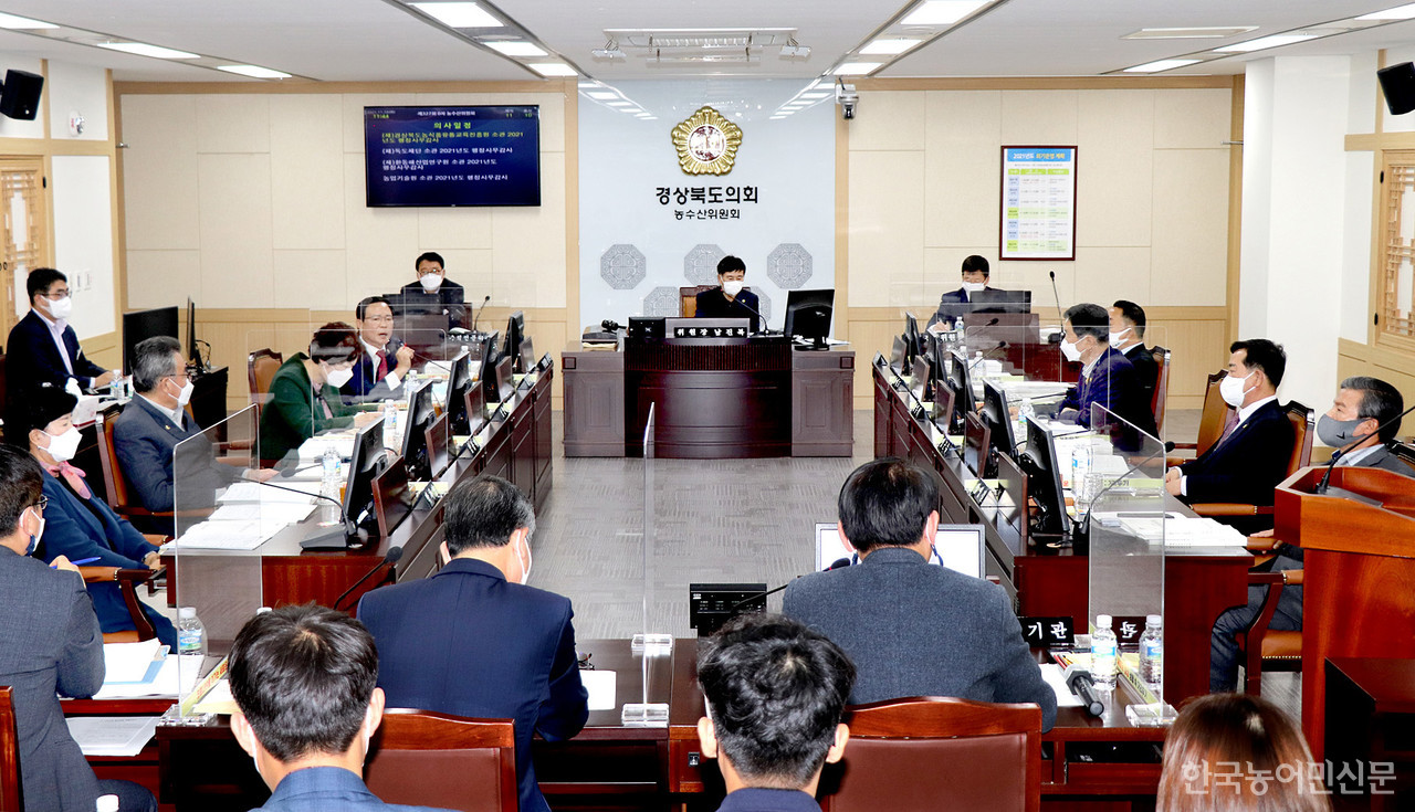 [2021 행정사무감사 | 경북도] 소규모 고령농 유통지원책 마련…경북 한우 브랜드 개발 나서야